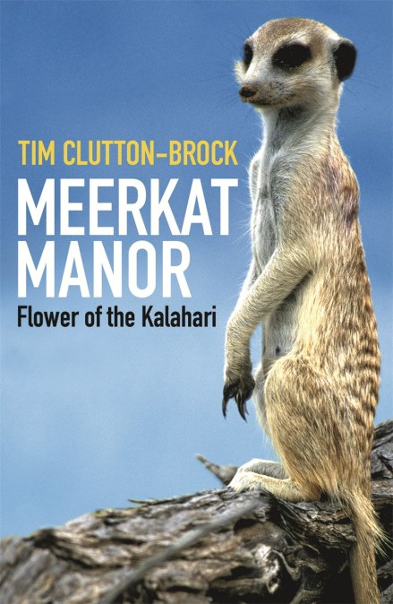 Meerkat Manor