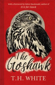 The Goshawk