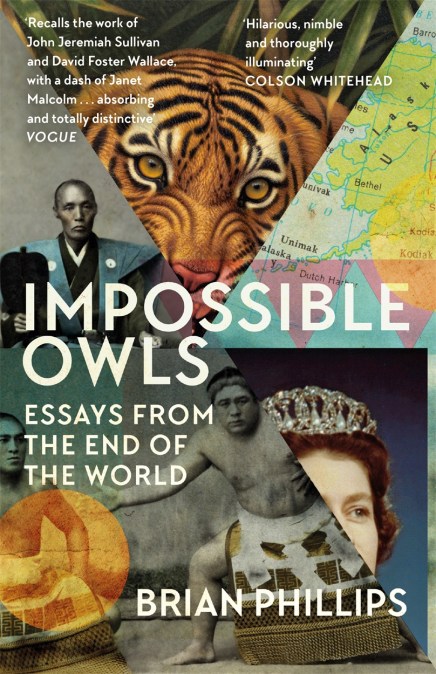 Impossible Owls