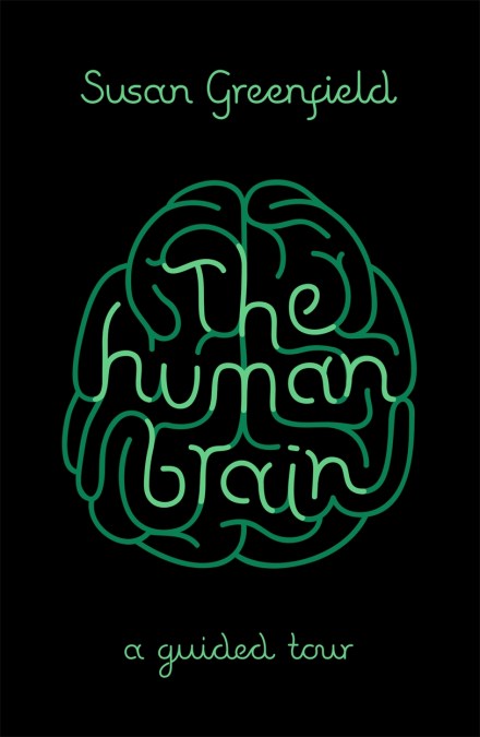 The Human Brain