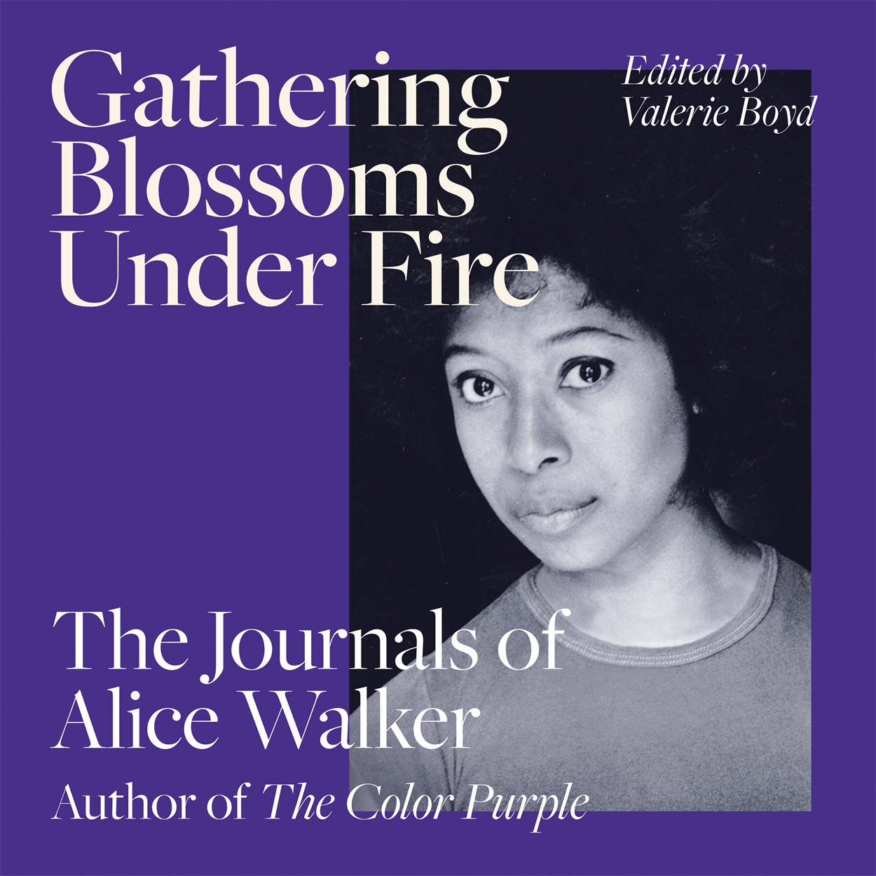 gathering blossoms under fire the journals of alice walker